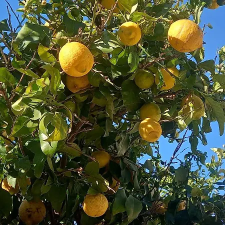 Apartmán Blue Lagoon Gold