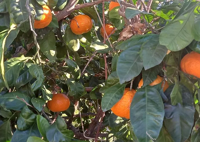 Blue Lagoon Gold شقة