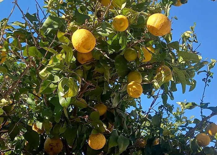 شقة Blue Lagoon Gold